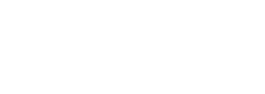 partner-4