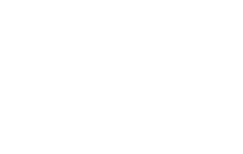 partner-45
