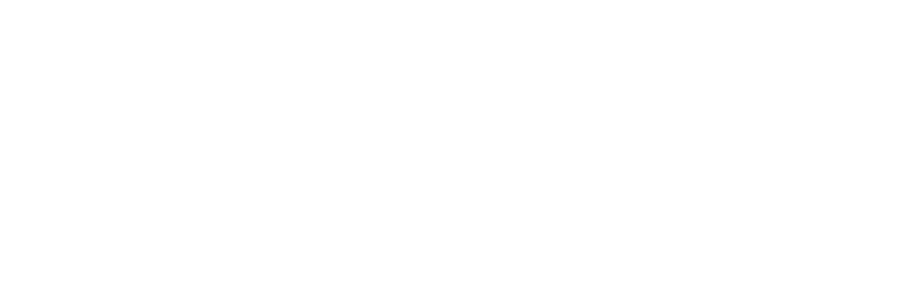 partner-50