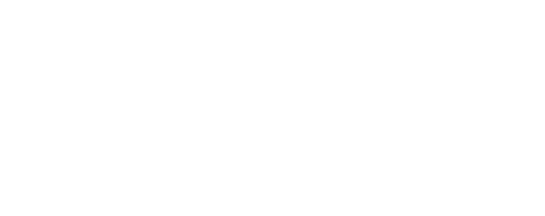 partner-60