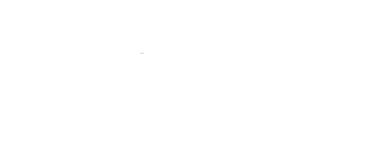 partner-8